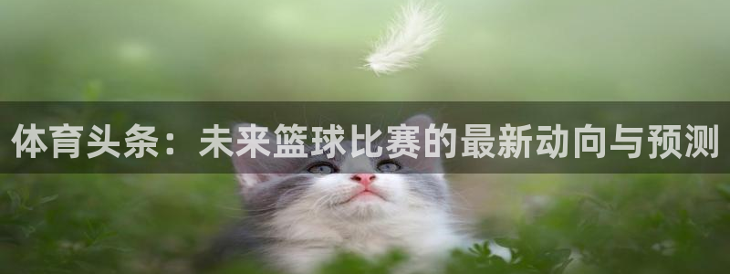 体育头条：未来篮球比赛的最新动向与预测