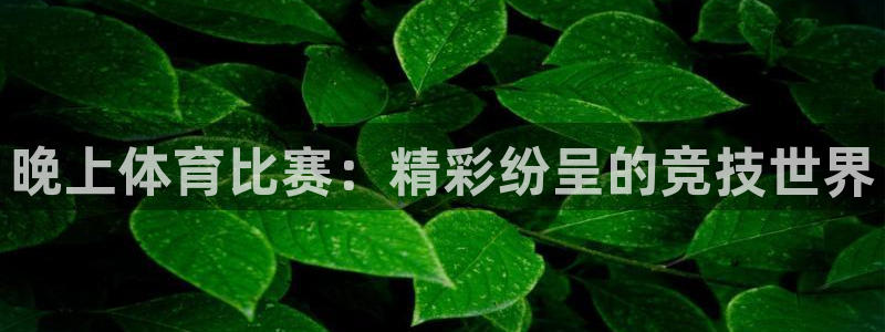 晚上体育比赛：精彩纷呈的竞技世界