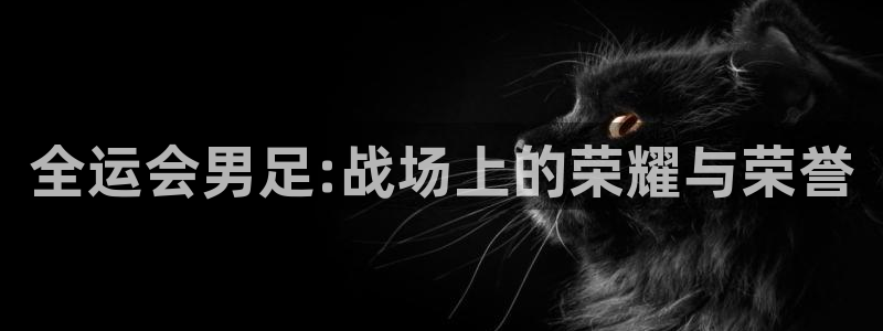 全运会男足:战场上的荣耀与荣誉