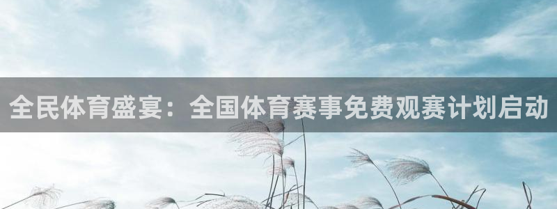 全民体育盛宴：全国体育赛事免费观赛计划启动
