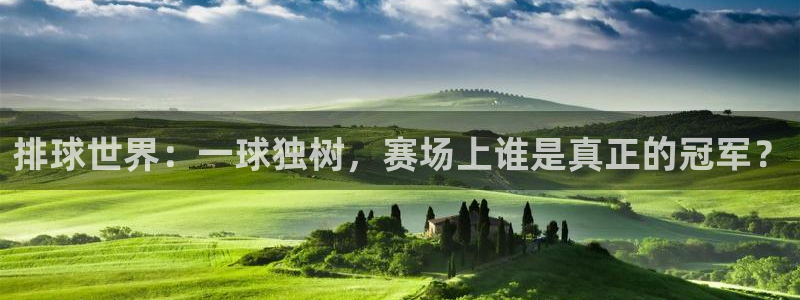 排球世界：一球独树，赛场上谁是真正的冠军？