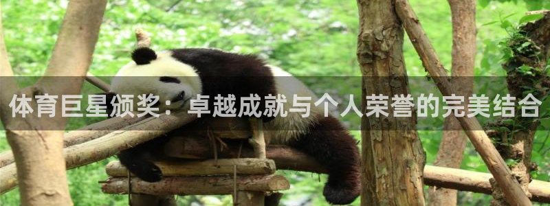 体育巨星颁奖：卓越成就与个人荣誉的完美结合