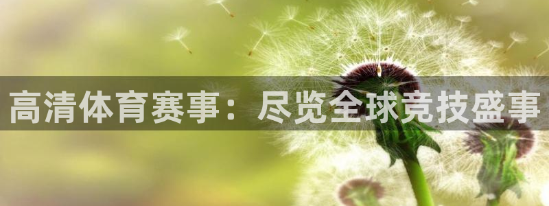 高清体育赛事：尽览全球竞技盛事