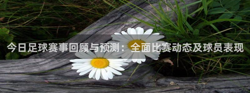 今日足球赛事回顾与预测：全面比赛动态及球员表现