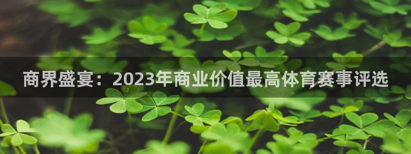 商界盛宴：2023年商业价值最高体育赛事评选
