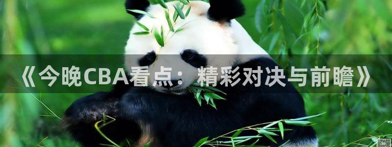 《今晚CBA看点：精彩对决与前瞻》