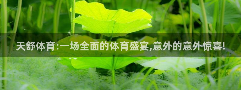 天舒体育:一场全面的体育盛宴,意外的意外惊喜!