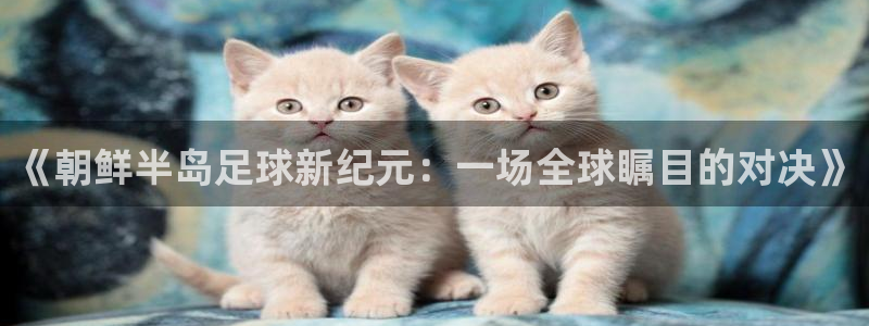 《朝鲜半岛足球新纪元：一场全球瞩目的对决》