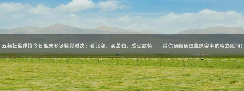 五棵松篮球馆今日迎来多场精彩对决：看比赛、买装备、感受激情——带你领略顶级篮球赛事的精彩瞬间!